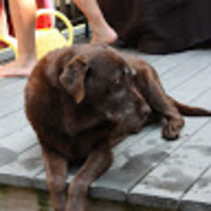 Meet your Posher, Nick